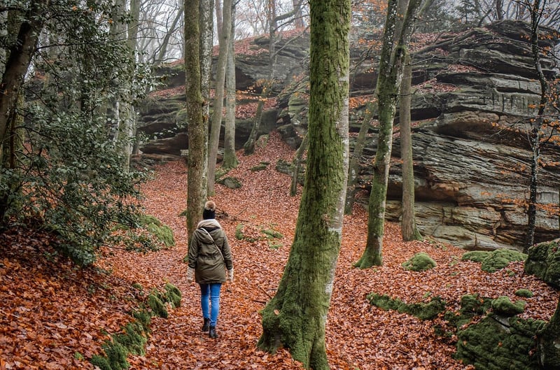 Mindful Hiking